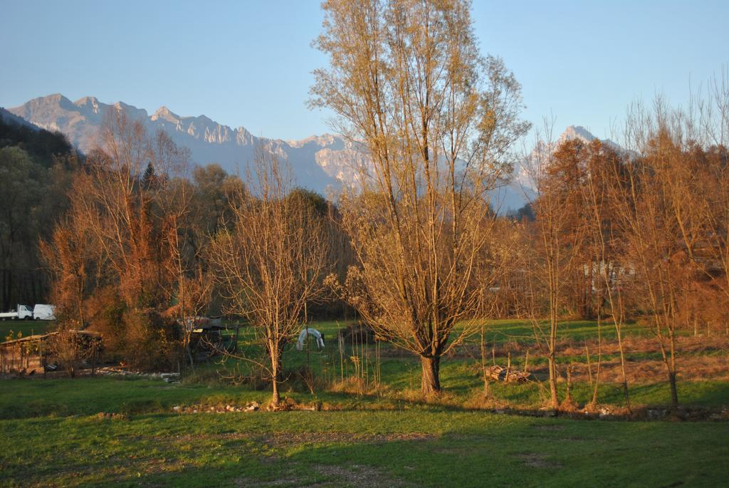 Agriturismo Il Girasole Feltre Exterior foto
